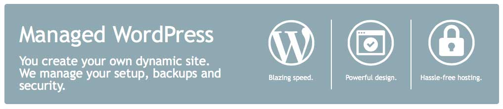 Managed WordPress Hosting through Likoma. One-click restoration. 