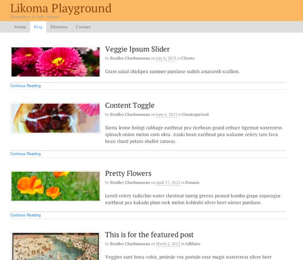 The Blog Layout lists all of your latest posts. 