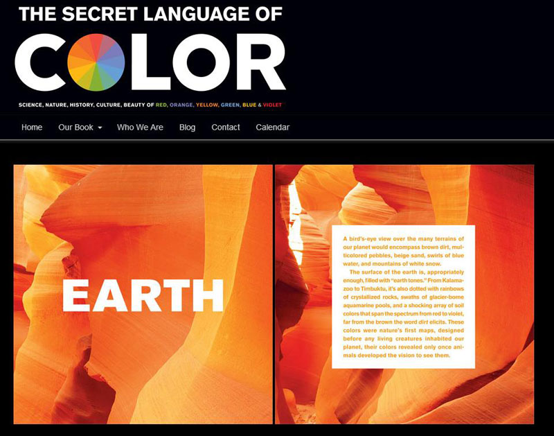 The Secret Language of Color